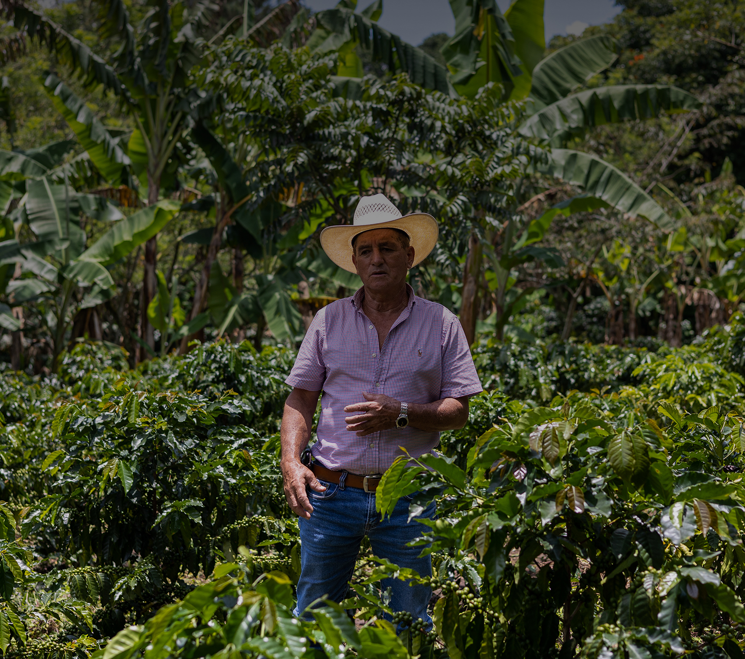 honduras: climate-smart region project