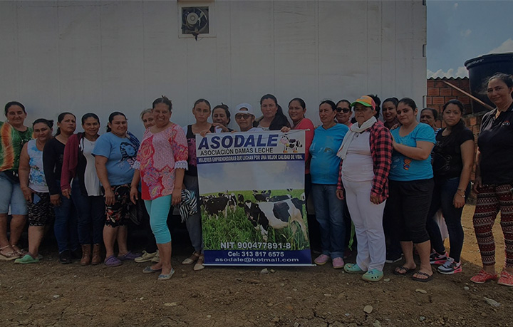 The milestone of coffee defenders action. Seedling supply and plantation in Lambari, Brazil.